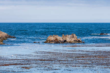 The 17 Mile Drive is a scenic road through Pacific Grove and Pebble Beach in Big Sur, Monterey, California, USA.の写真素材