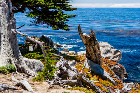 Pescadero Point, 17 Mile Drive, Big Sur, California, USA - July 1, 2012: The 17 Mile Drive is a scenic road through Pacific Grove and Pebble Beach in Big Sur, Monterey, California, USA.のeditorial素材