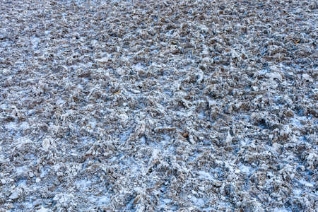 Badwater Basin is an endorheic basin in Death Valley National Park, Death Valley, Inyo County, California, noted as the lowest point in North America, with an elevation of 85 m below sea level.の写真素材