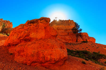 Unique vermilion-colored rock formation and stands of Ponderosa pines make the canyon exceptionally...