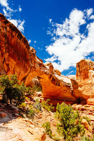 Hickman Natural Bridge is one of the largest rock spans in the park. The bridge has an opening of 125 feet top to bottom and 133 feet between abutments.の写真素材
