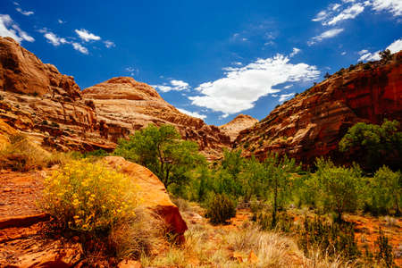 The trail to Hickman Bridge is Capitol Reef National Parks most popular hike and features fantastic views of the Waterpocket Fold and the majestic natural bridge.の写真素材