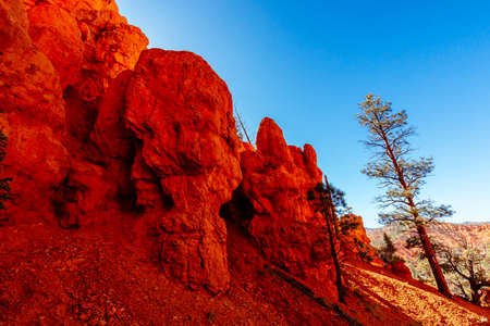 Unique vermilion-colored rock formation and stands of Ponderosa pines make the canyon exceptionally scenic.の写真素材