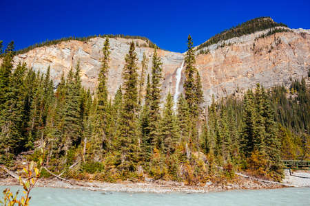 Takakkaw Falls is a waterfall located in Yoho National Park, British Columbia, in Canada. Its highest point is 302m from its base, making it the 45th tallest waterfall in western British Columbia.の写真素材