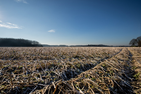 Field in Winter At Krefeldの写真素材