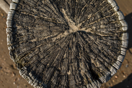 Close up of a Groyne Pillar with fantastic detailsの写真素材