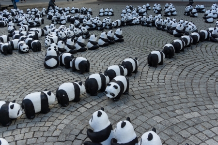 The WWF draws attention to the endangered giant panda with an action in the city of Kielのeditorial素材