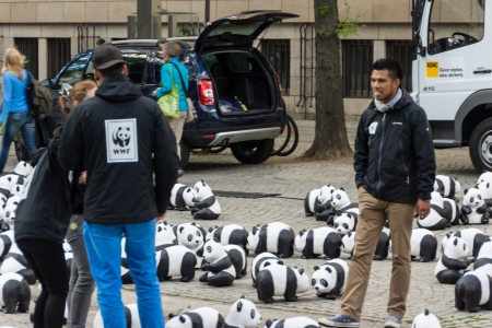 The WWF draws attention to the endangered giant panda with an action in the city of Kielのeditorial素材