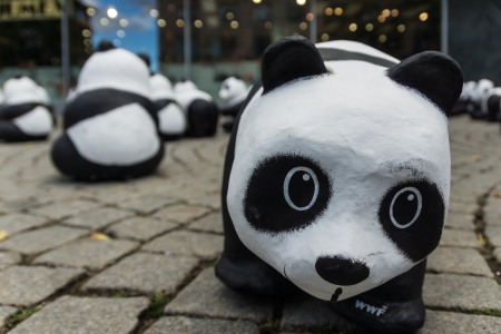 The WWF draws attention to the endangered giant panda with an action in the city of Kielのeditorial素材