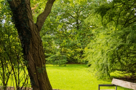 An autumn landscape in a forest in Kielの写真素材