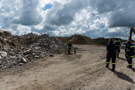 Ruins and forests as a training ground for future rescue dogs at the Federal Agency for Technical Reliefのeditorial素材