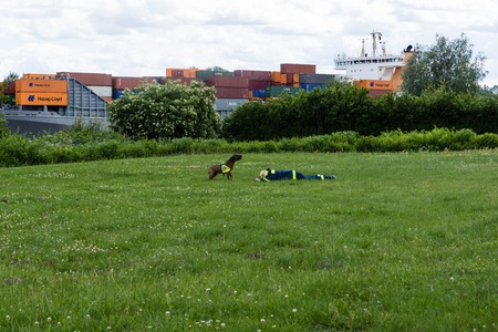 Ruins and forests as training ground for future rescue dogs at the Federal Agency for Technical Reliefのeditorial素材