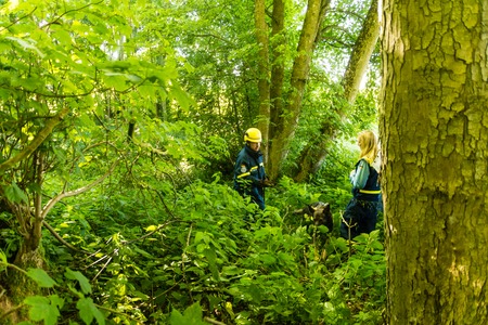 Ruins and forests site for training future rescue dogs at the Federal Agency for Technical Reliefのeditorial素材