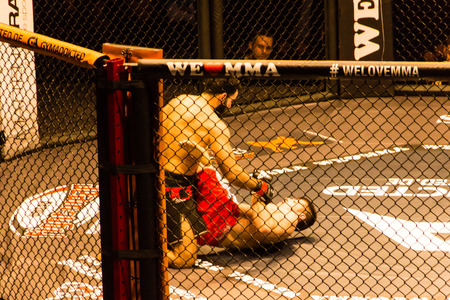 Hamburg, Germany - Nov 18th, 2017: The fight between Ali Ramadan and Aaron Fröhlich during We Love MMA 34 のeditorial素材