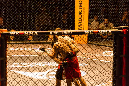 Hamburg, Germany - Nov 18th, 2017: The fight between Ali Ramadan and Aaron Fröhlich during We Love MMA 34 のeditorial素材