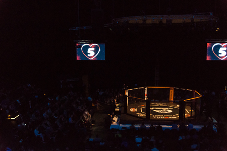 Hamburg, Germany - Nov 18th, 2017: The Octagon during We Love MMA 34 のeditorial素材