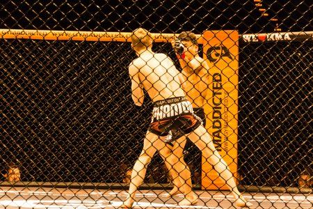 Hamburg, Germany - Nov 18th, 2017: The fight between Alexander Luster and Mustafa Ahmedi during We Love MMA 34 のeditorial素材
