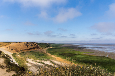 Morsum cliff, Sylt, North Germany, Island in the North Sea in August 2018の写真素材