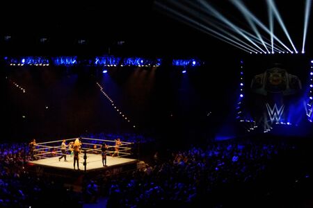 Hamburg, Germany - May 16th 2019: A 3-Way WWE Women's Tag Team Championship Match