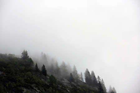foggy clouds rising from dark alpine mountain forestの写真素材