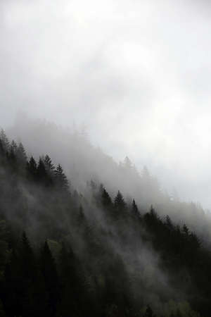 foggy clouds rising from dark alpine mountain forest