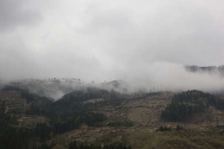 foggy clouds rising from dark alpine mountain forestの写真素材