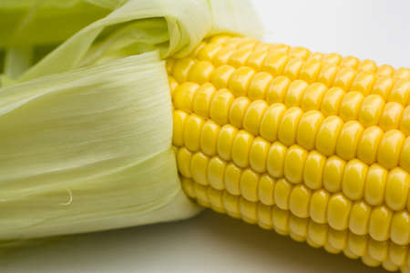 Corn on the cob