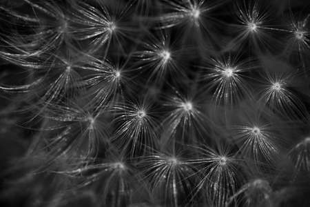 Parachute ball detailの写真素材