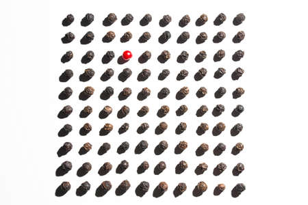 One red pepper corn amongst 99 black pepper cornsの写真素材