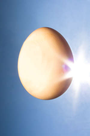 Egg with sunburstの写真素材