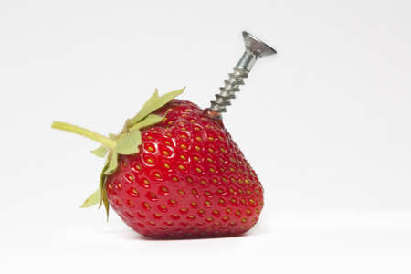Genetic engineering analogy featuring a strawberry and a steel screwの写真素材