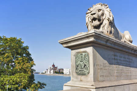 Lion Statue from Lanchid (chain Bridge) protecting Hungarian parliament building on the Blue Danubeの写真素材
