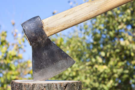 Axe or wood chopper with winter wood against a natural foliage background