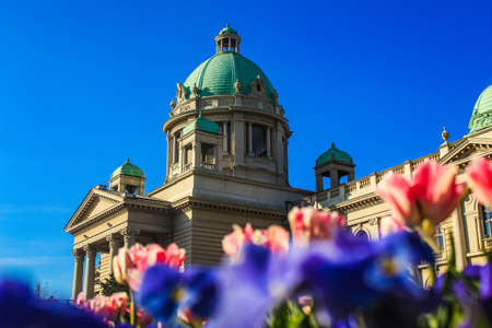 View of the historic San Francisco City Hallの写真素材