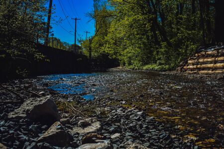 A shot of a blue creek surrounded by trees and plants.