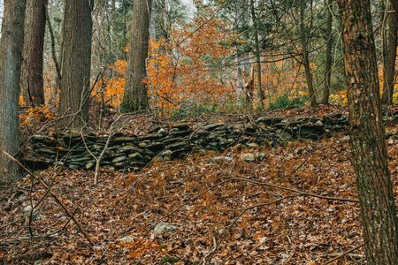 A Shot of a Rock Wall in an Autumn Landscapeの写真素材