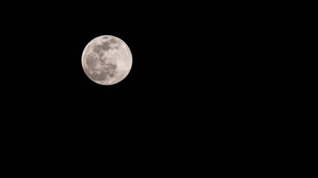 The First Super Moon of 2020の写真素材