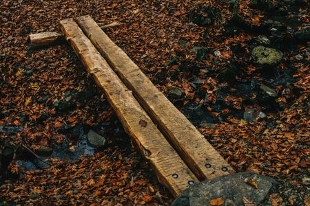 A Shot of a Man Made Log Bridge Using Two Sanded Pieces of Wood, Crossing a Very Small Stream.の写真素材