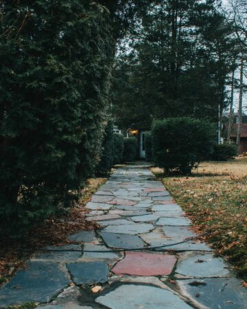 A Multi-Colored Stone Path Leading Up To The Front Door of a Home With Trees and Bushes on the Sides of the Pathの写真素材