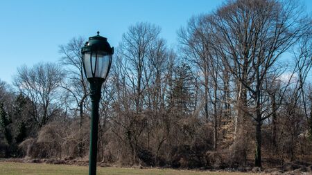 A Black Metal Light Post With Windows in an Open Field With Trees and a Blue Sky in the Backgroundの写真素材