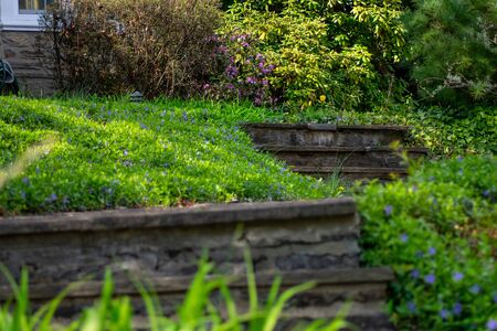 A Worn Cobblestone Path and Steps on a Front Lawn