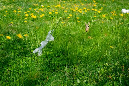 A Clear Plastic Glove Blowing in the Wind Caught on a Long Blade of Grass