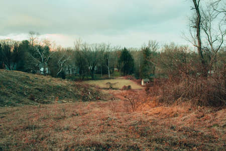 Looking Down a Hill Covered in Dead Grass on a Cloudy Autumn Dayの写真素材