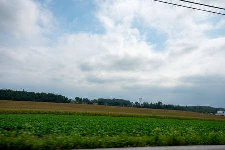 Looking Out the Car at a Huge Field Full of Fresh Crops Moving Byの写真素材