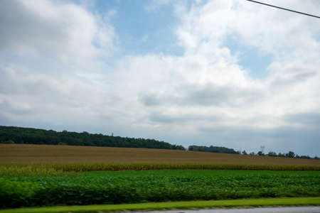 Looking Out the Car at a Huge Field Full of Fresh Crops Moving Byの写真素材