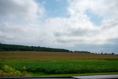 Looking Out the Car at a Huge Field Full of Fresh Crops Moving Byの写真素材