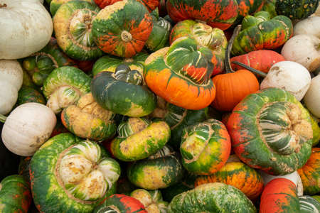 A Pile of Ugly Pumpkins in a Wooden Box at a Farmer's Market Filling the Frameの写真素材