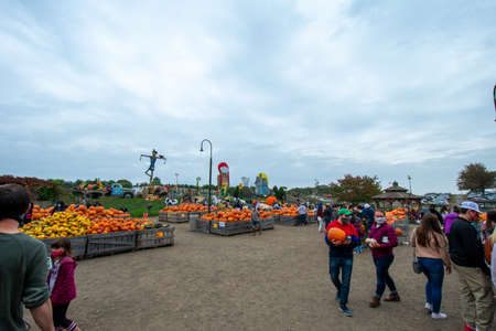 MEDIA, PENNSYLVANIA - October 11, 2020: Linvilla Orchards' Farmer's Market and Garden Center is busy and selling tons of pumpkins for the Autumn season.のeditorial素材