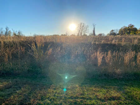 A Bright Sun Set Behind a Large Field of Crops on a Clear Blue Skyの写真素材