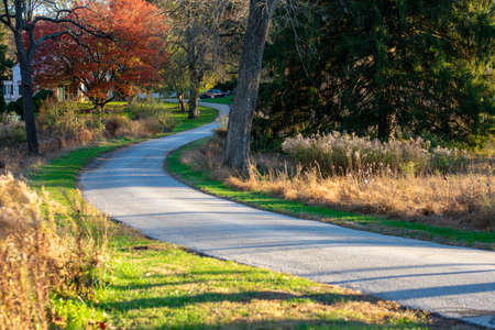 A Paved Path Leading Into an Autumn Forest With the Willcox Memorial Library at Valley Forgeの写真素材